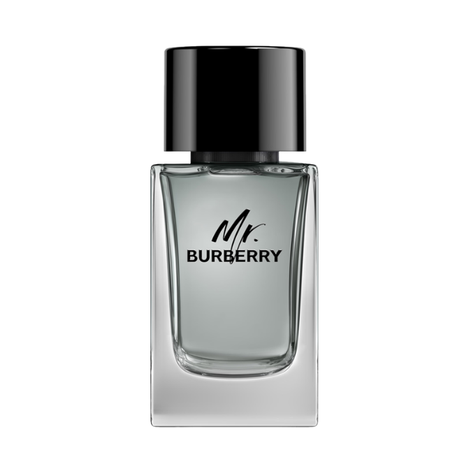 BURBERRY MR. BURBERRY (M) EDT 100 ml