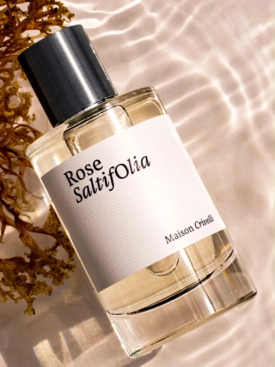 MAISON CRIVELLI Rose Saltifolia