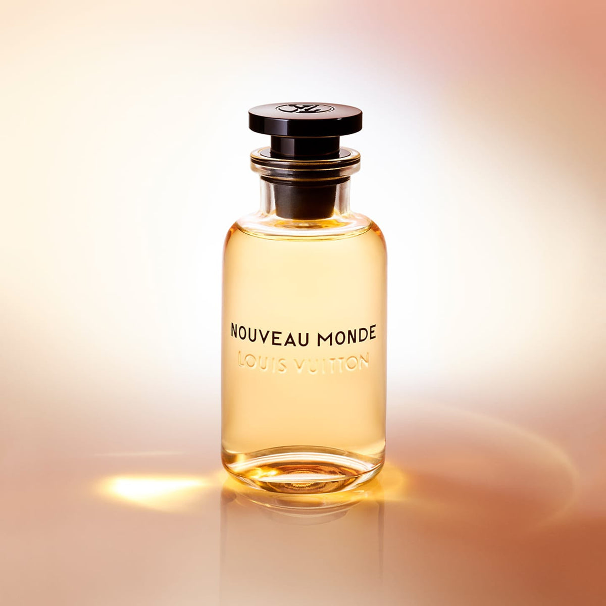 LOUIS VUITTON Nouveau Monde