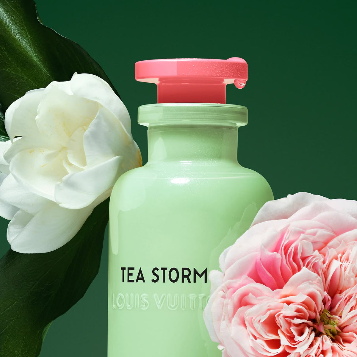 LOUIS VUITTON Tea Storm