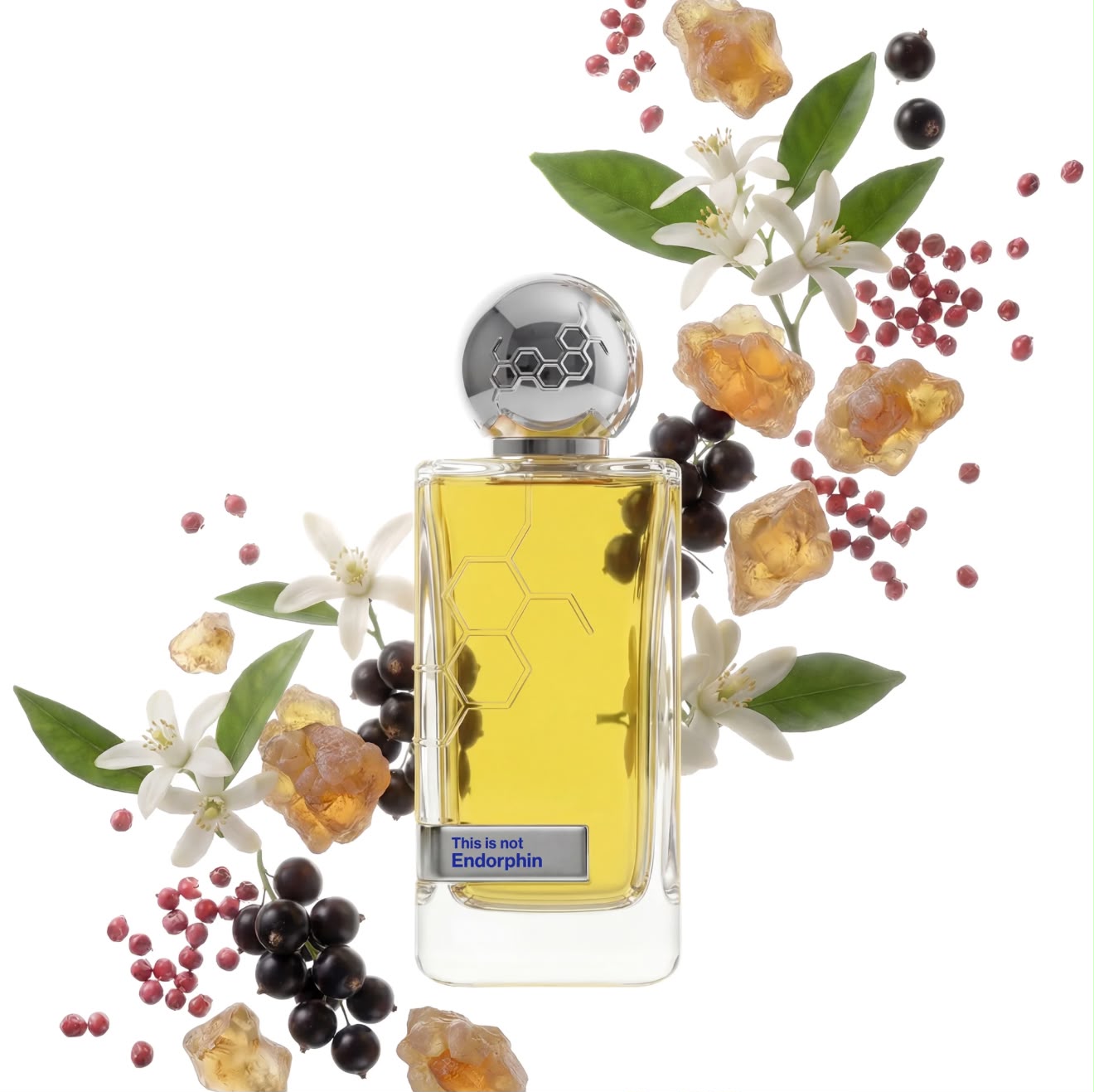 HORMONE PARIS This is not Endorphin Parfum