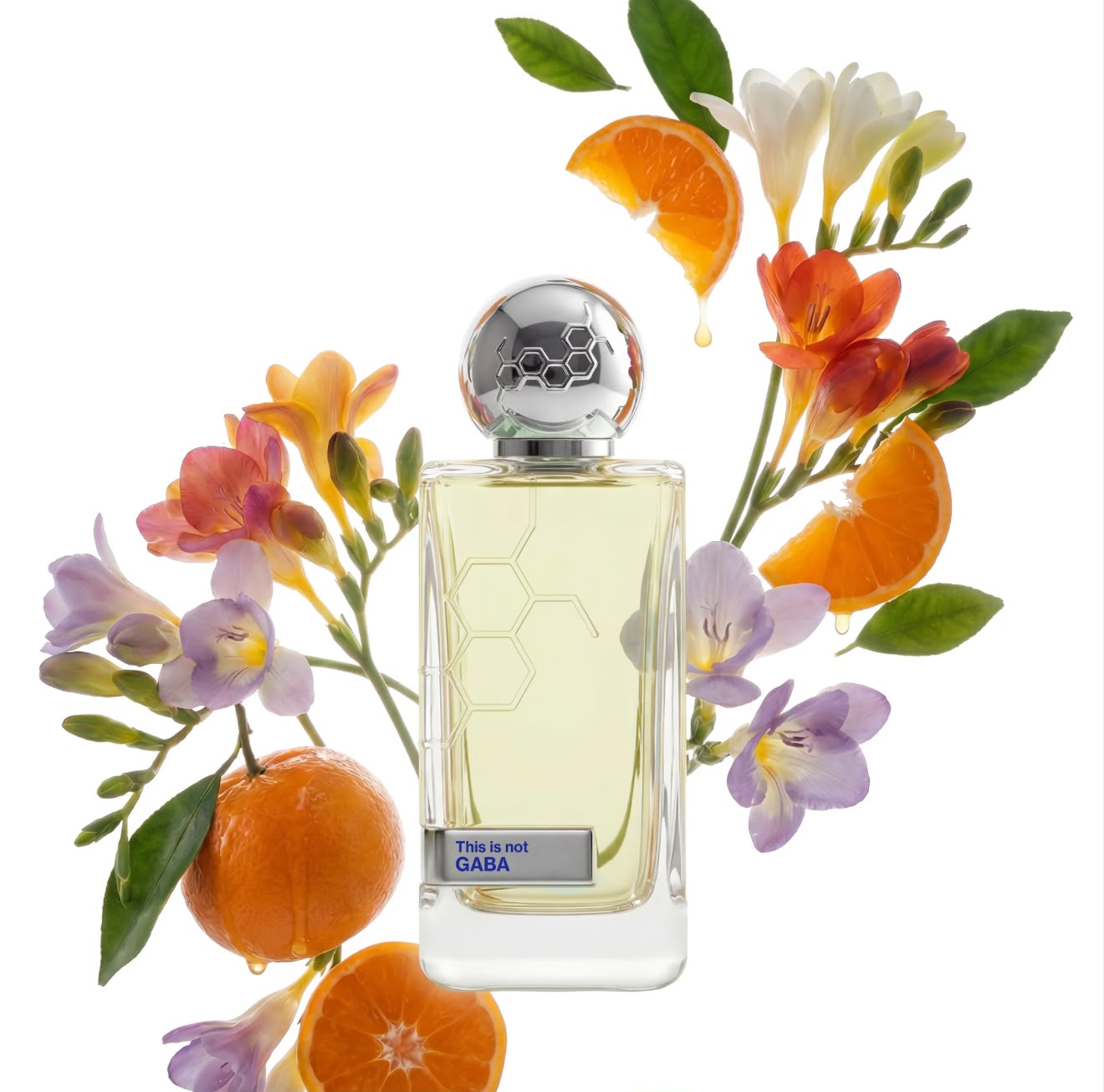 ORMONE PARIS This is not Gaba Parfum