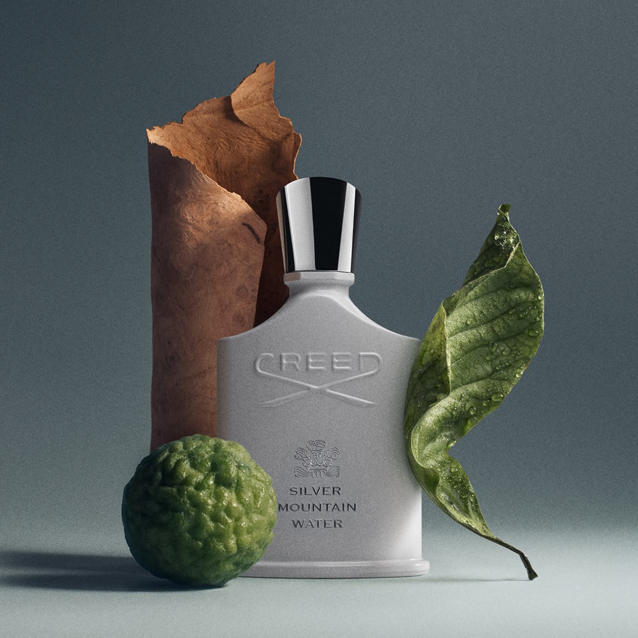 CREED Silver Mountain - Millesime