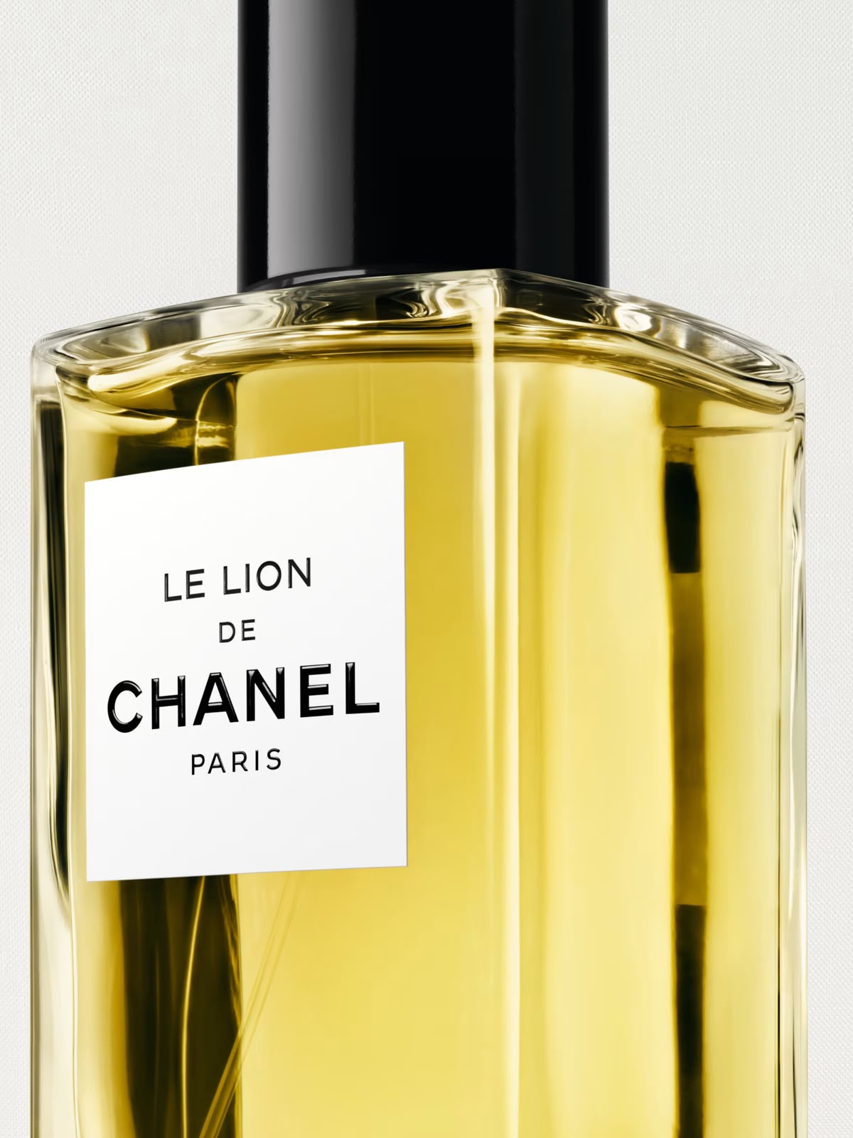 CHANEL Le Lion De LES EXCLUSIFS DE CHANEL