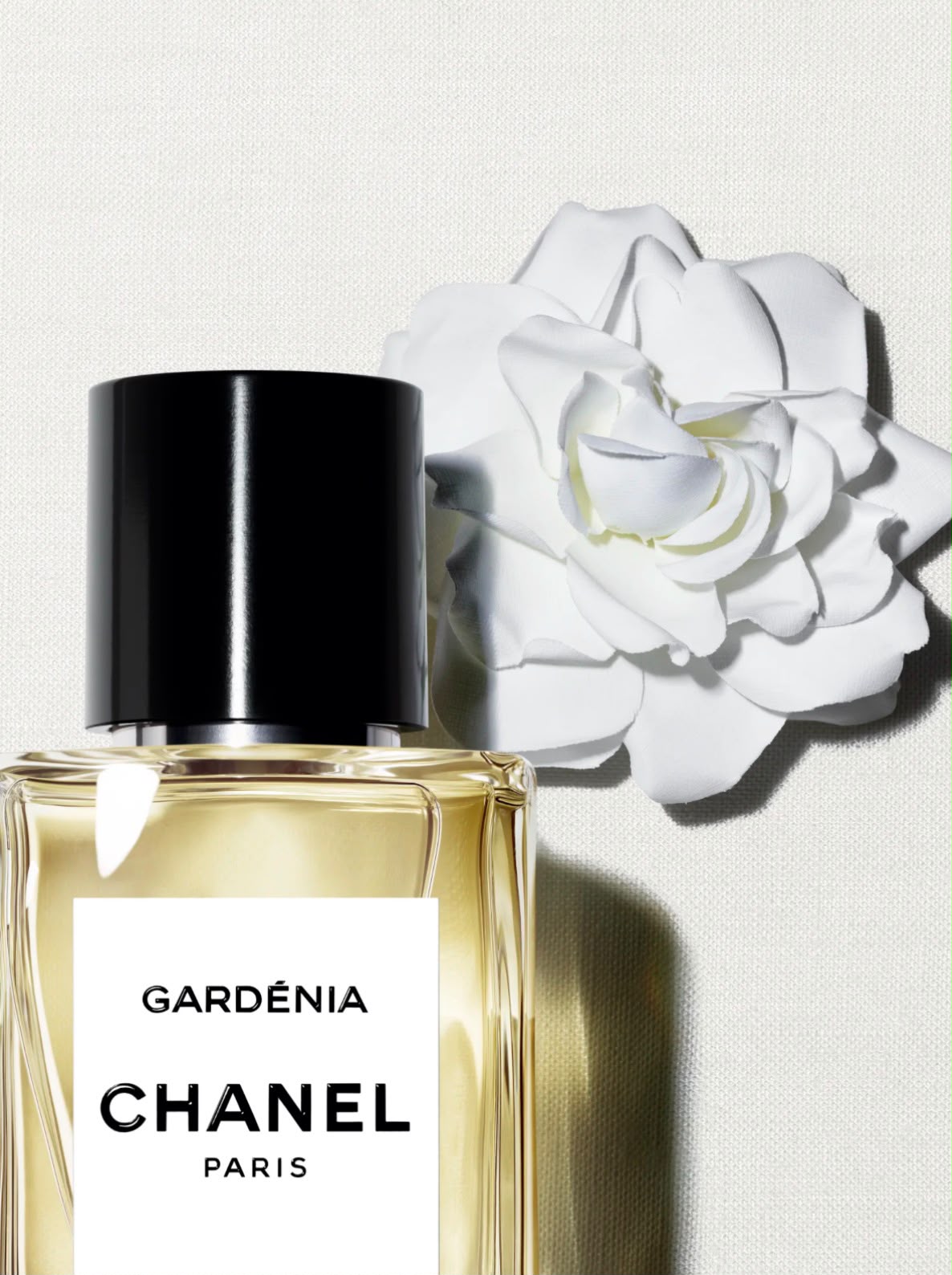 CHANEL Gardénia