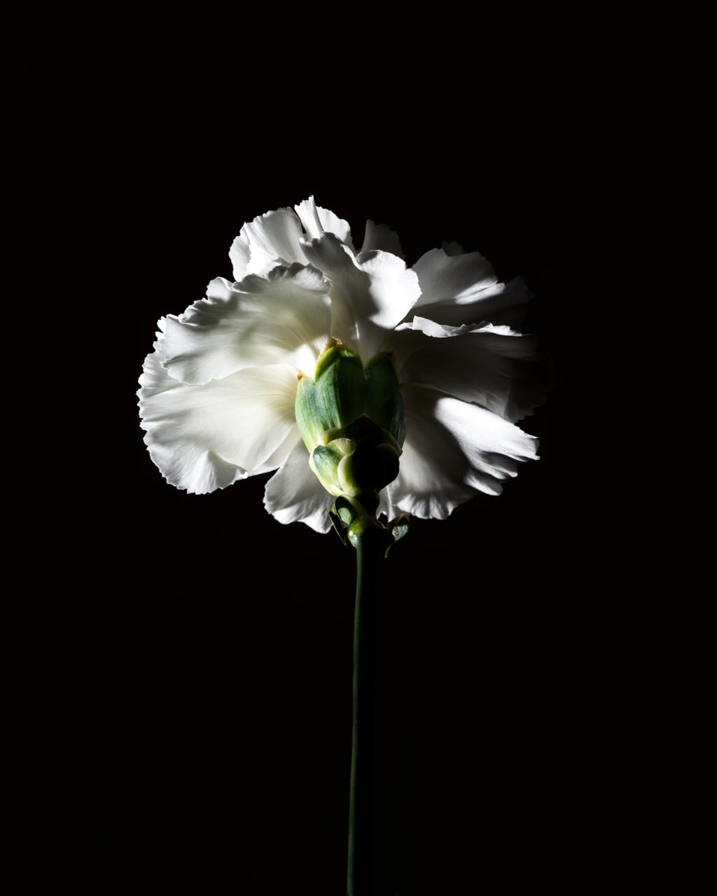 BDK PARFUMS Pas Ce Soir