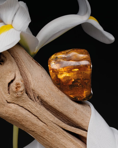 BDK PARFUMS Stellar Silk Absolu Extrait
