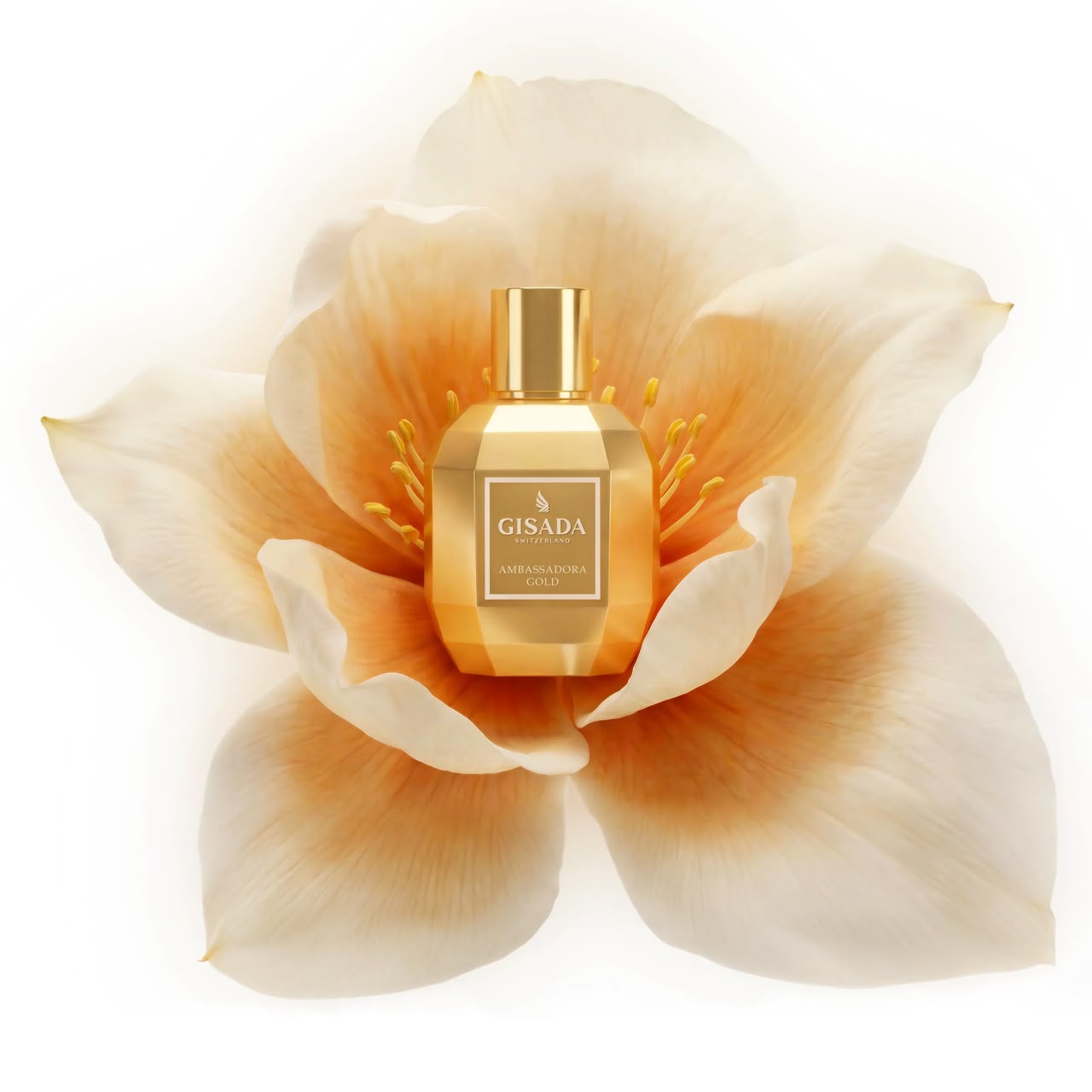 GISADA Ambassadora Gold