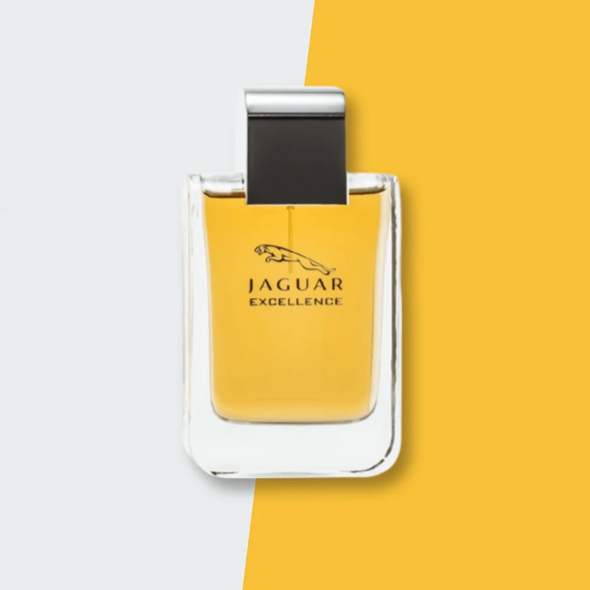 JAGUAR Excellence For Men