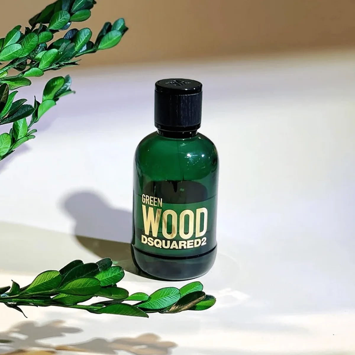 DSQUARED2 Green Wood