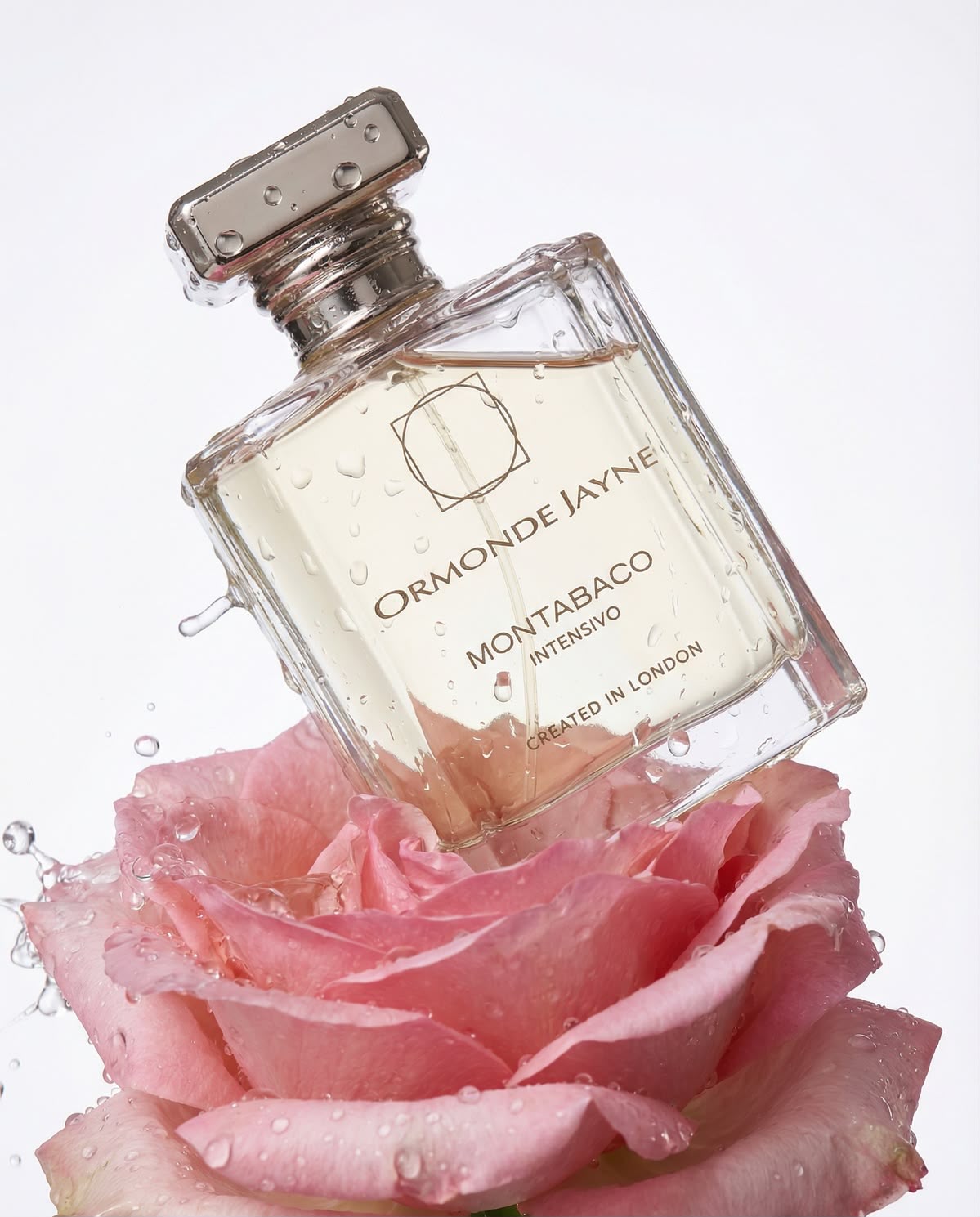 ORMONDE JAYNE Montabco Intensivo