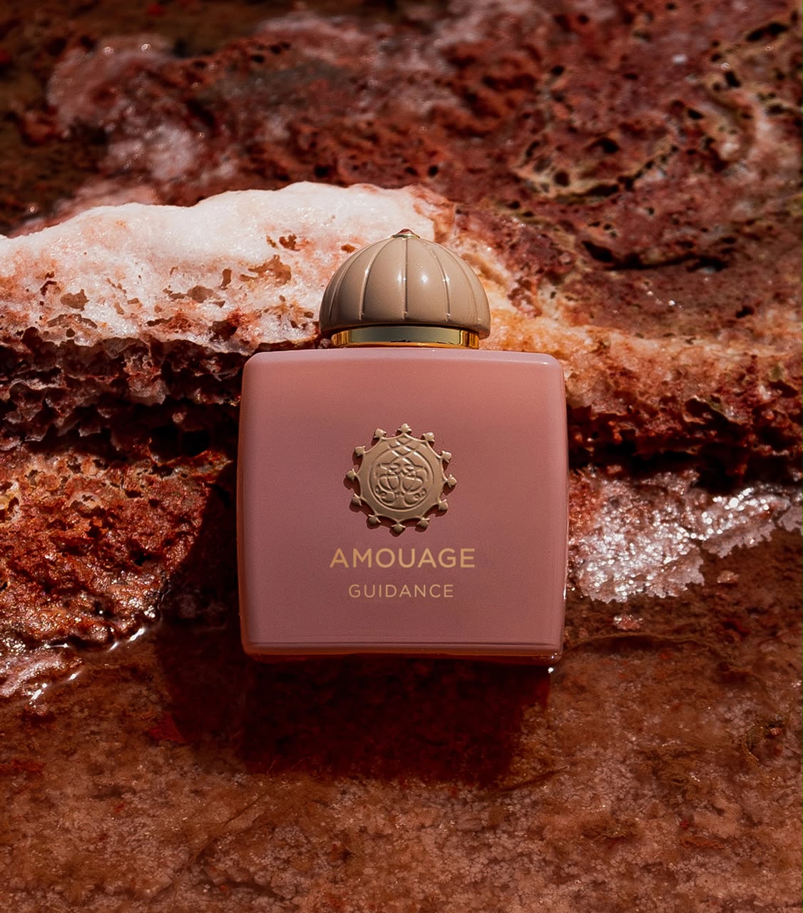 AMOUAGE Guidance