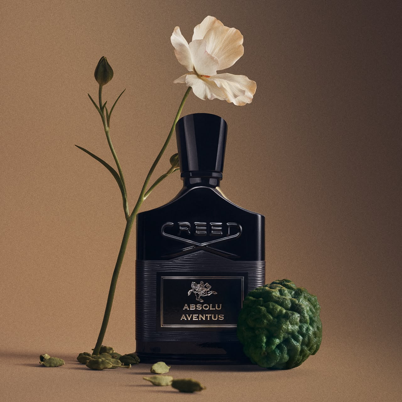 CREED Absolu Aventus