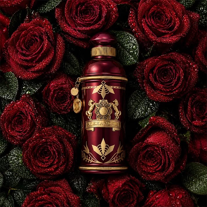 ALEXANDRE J Rose Alba