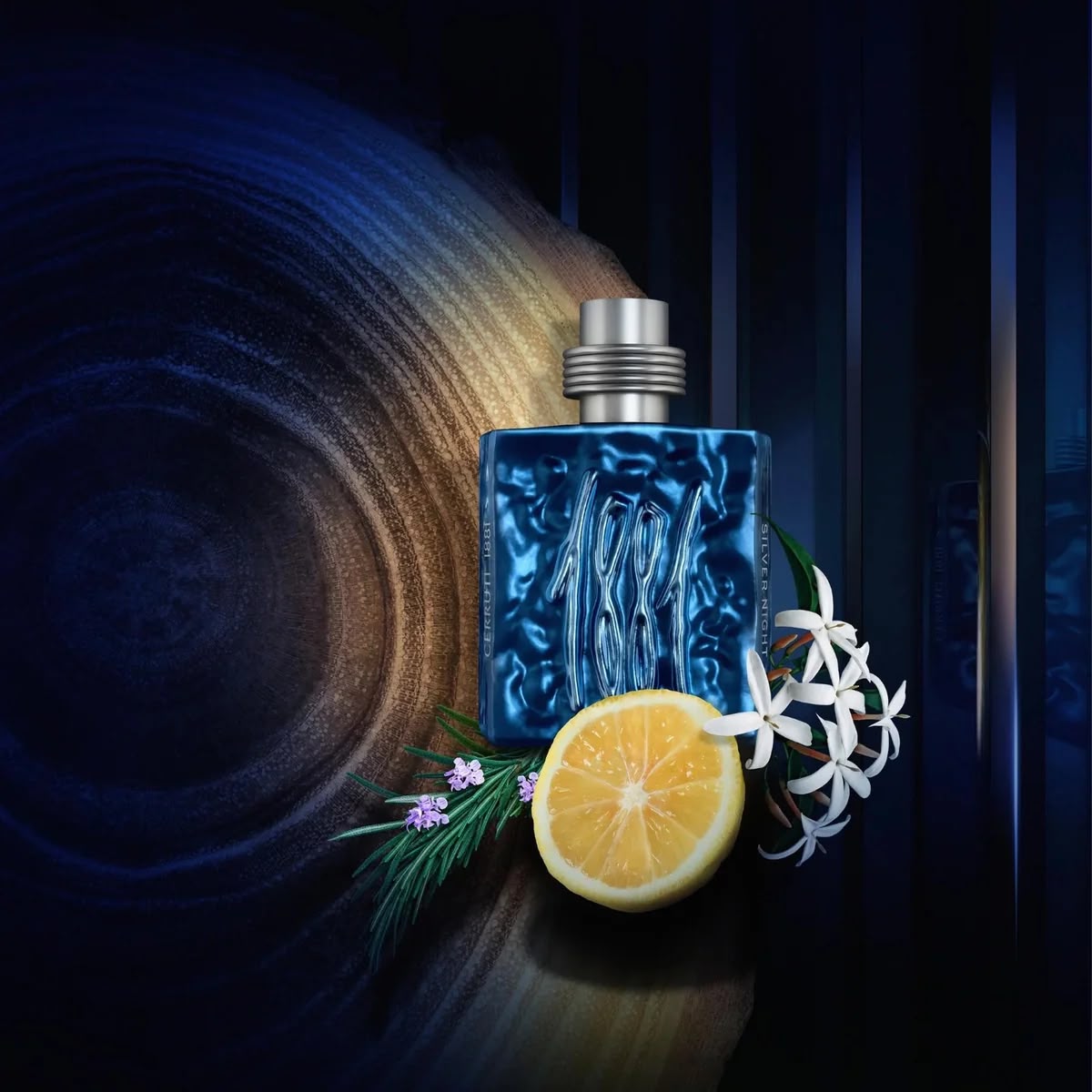 CERRUTI 1881 Silver Night