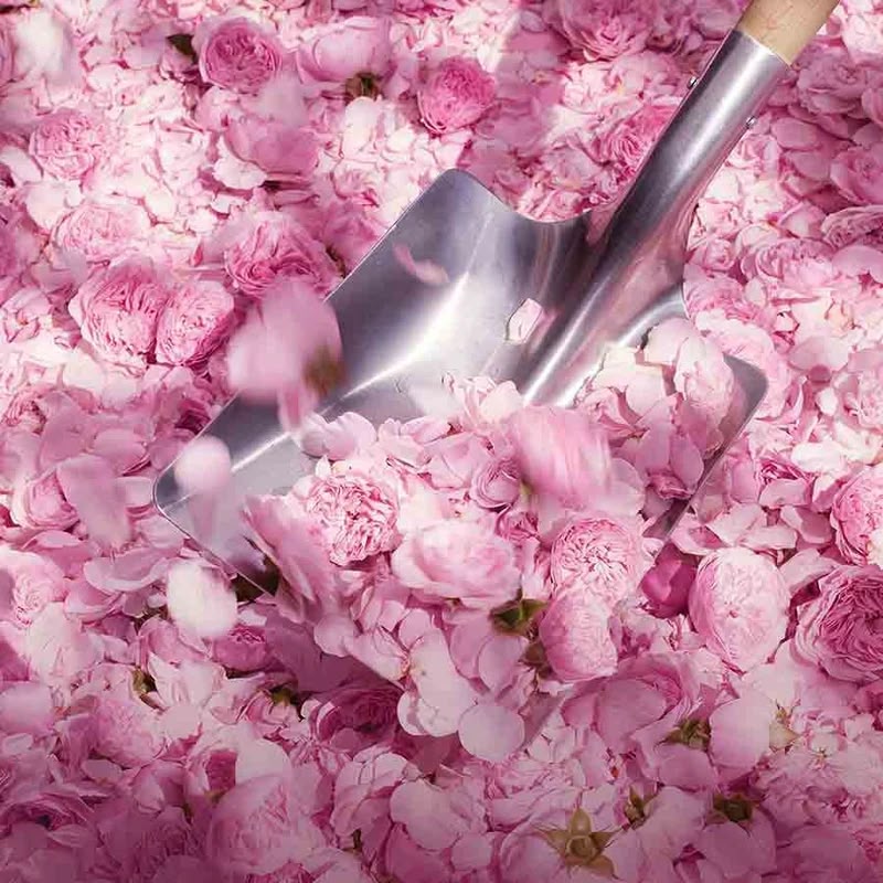DIOR Miss Dior Blooming Bouquet Eau de Toilette