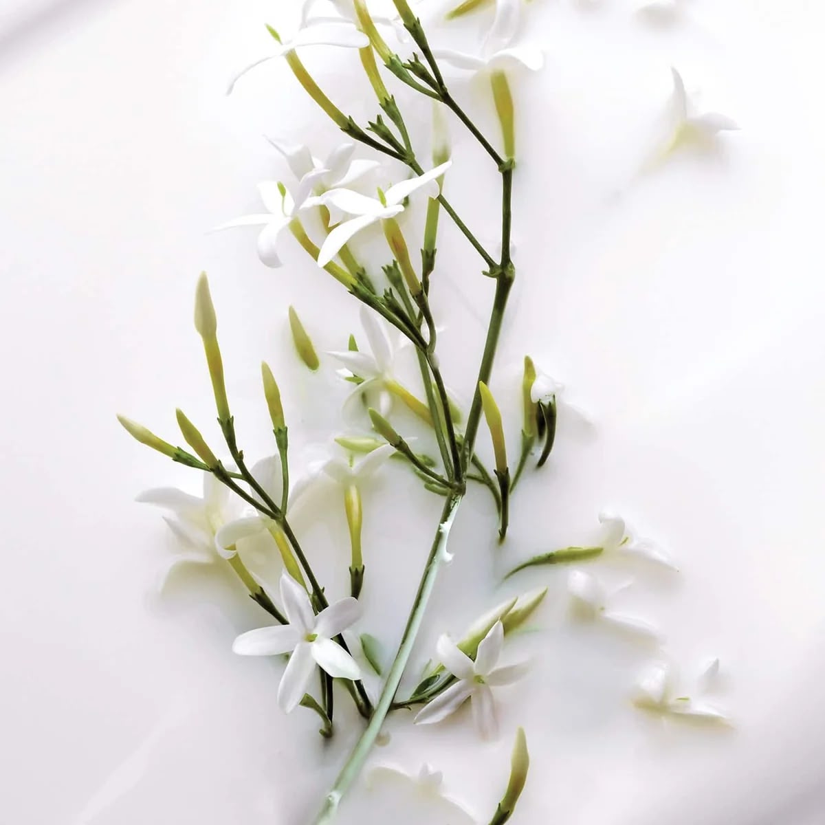 DIOR J'adore Eau de Toilette