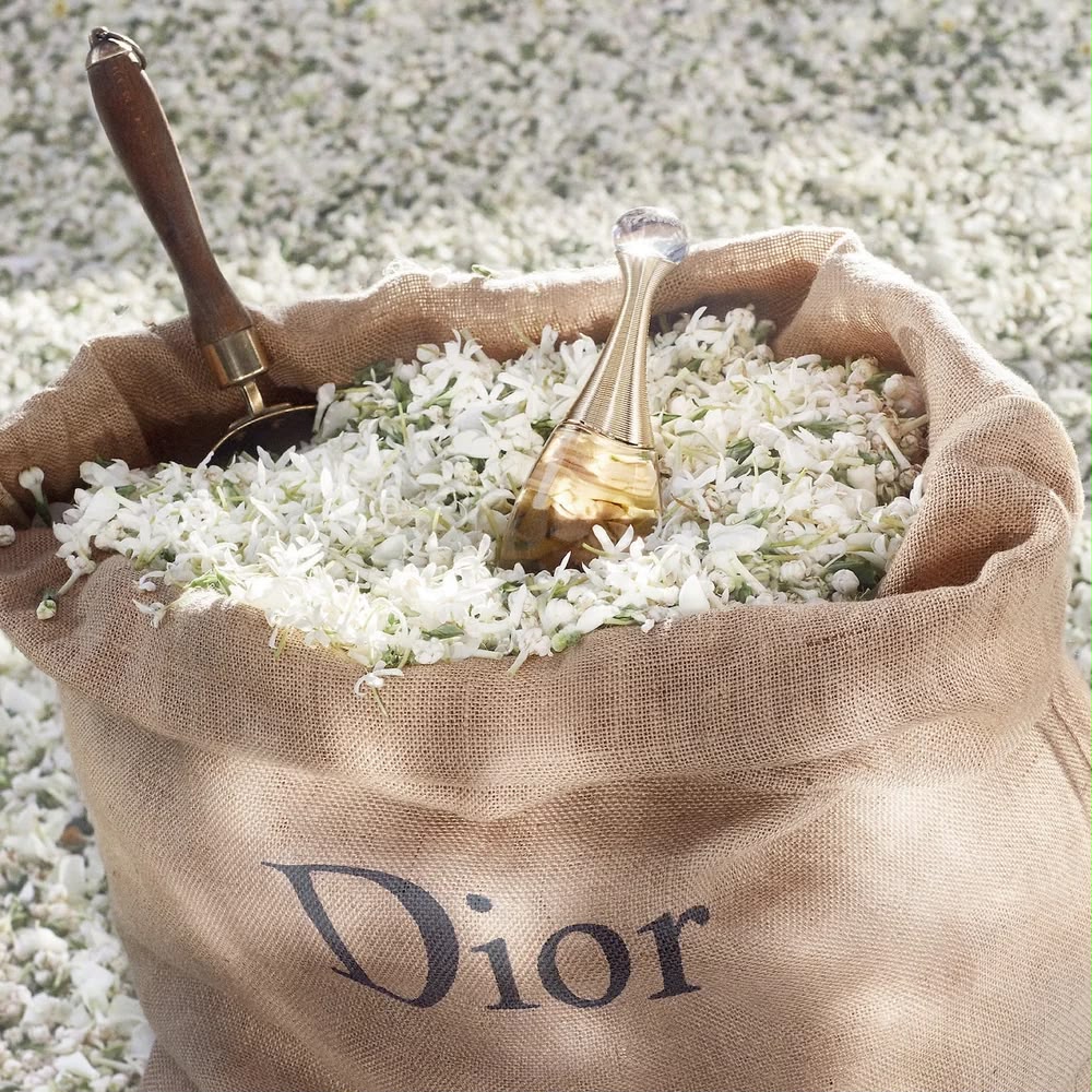 DIOR J'adore Eau de Toilette