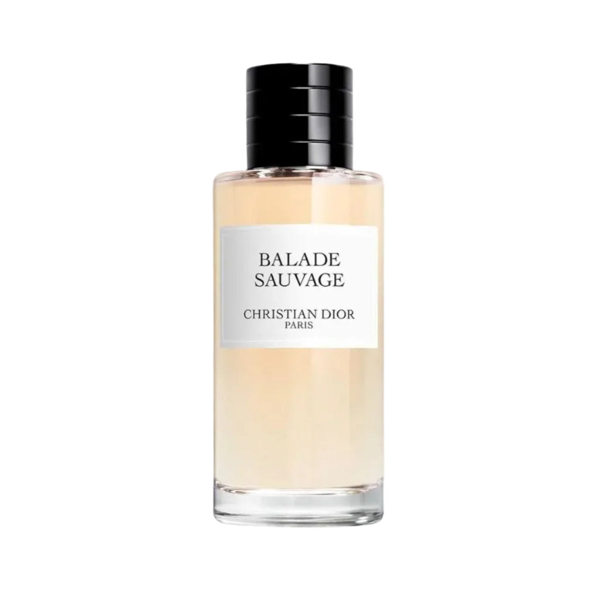 CHRISTIAN DIOR Balade Sauvage