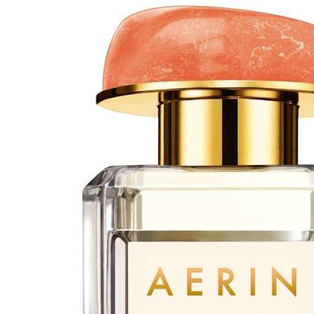 AERIN Hibiscus Palm