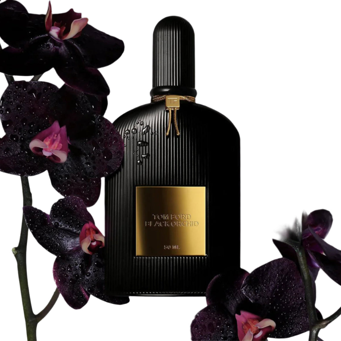 TOM FORD BLACK ORCHID (L) EDP